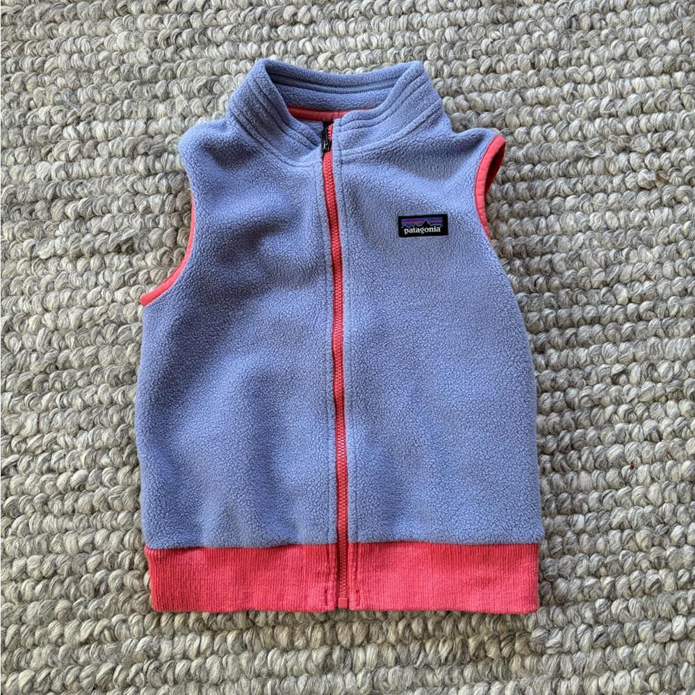 Toddler Patagonia Vest 3T